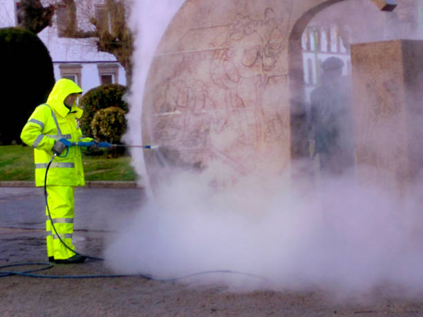 Best Power Washing Near Me  in Lawrencevle, IL